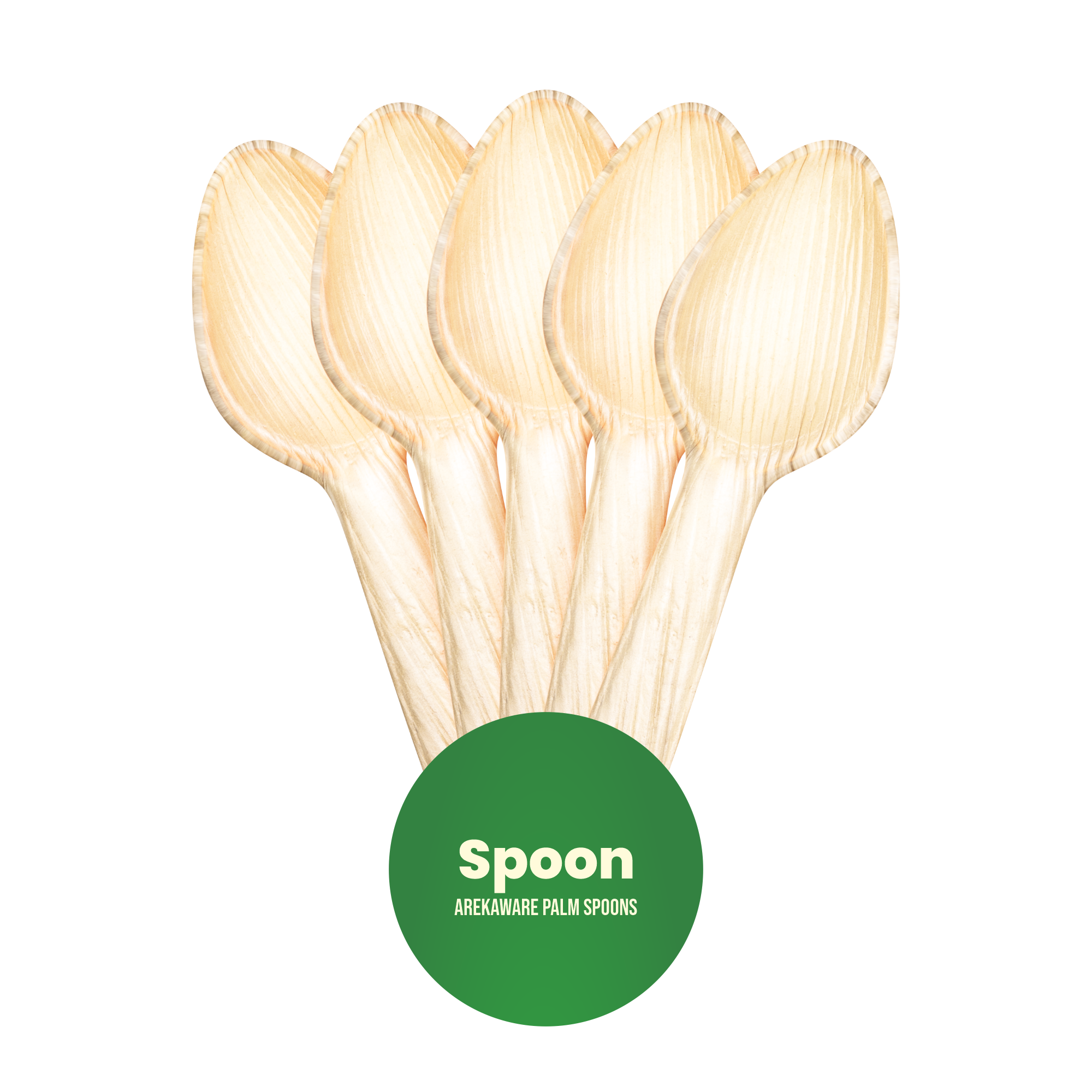 Regular Spoon